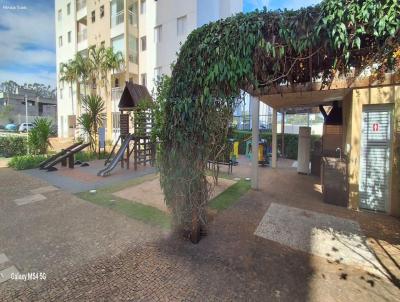imagem-miniatura